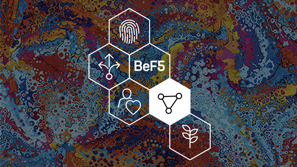 BeF5 Diversité et inclusion