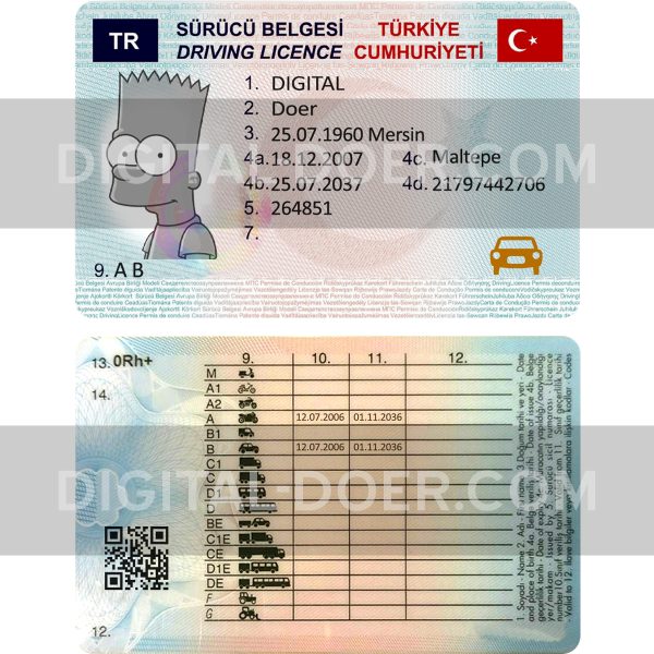 Turkey Driver License Template PSD