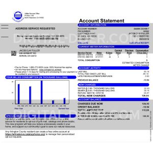 USA Gas Bill - Proof of address PSD template